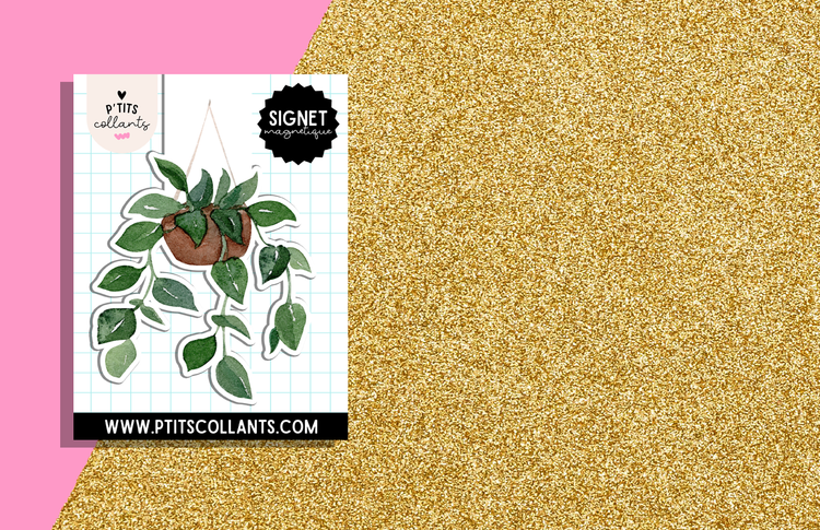 Signets magnétiques