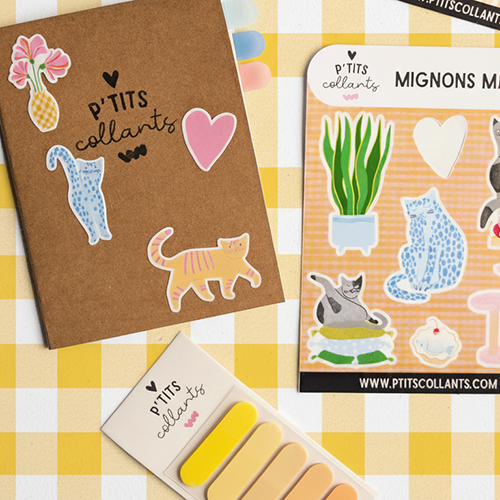 Le p'tit kit cahier, trio cahier + autocollants + marqueurs, P'tits collants