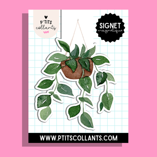 SM001 - Signet magnétique