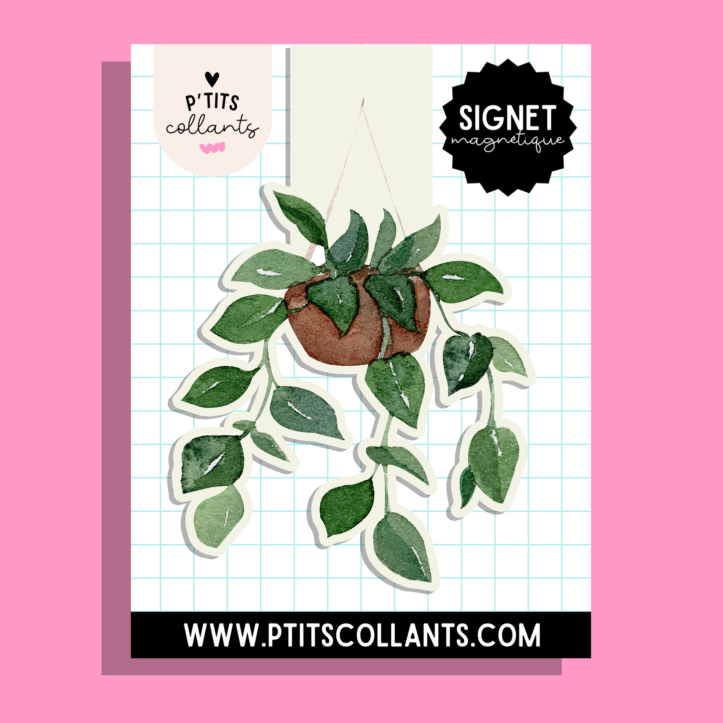 Signet magnétique plante tombante aquarelle, fait au Québec, P'tits collants