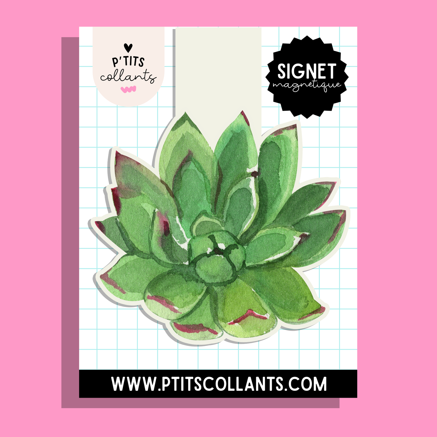 SM002 - Signet magnétique succulente